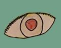 ojo1