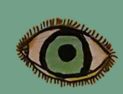 ojo2