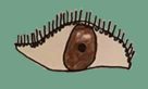 ojo3
